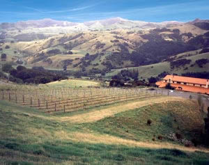 Takamatua Valley Vineyards